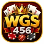 WGS456 Game
