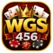 WGS456 Game