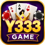 Y333 Game