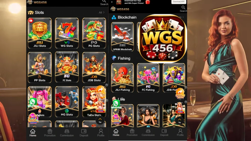 WGS456 Game