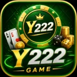 Y222 Game
